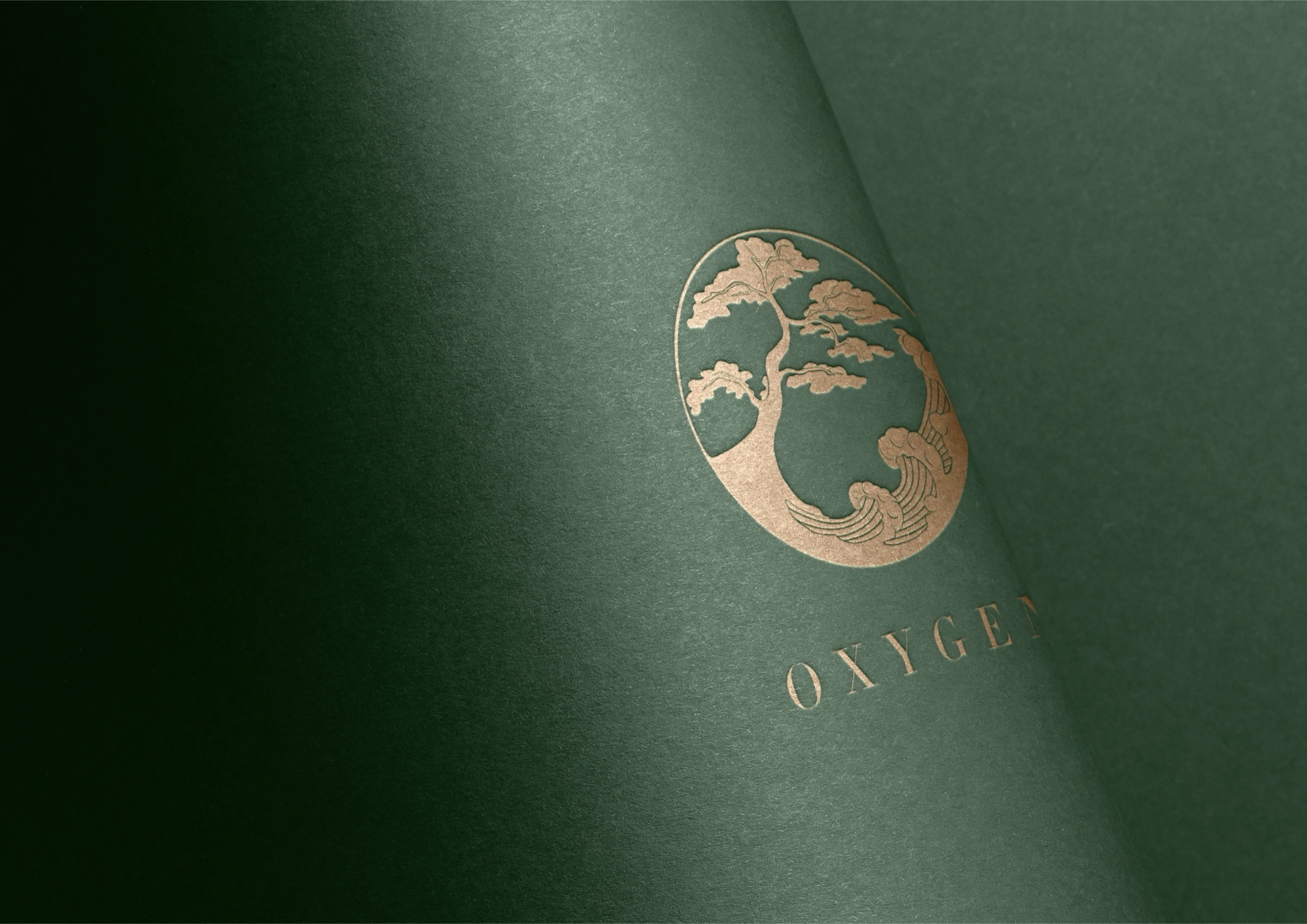 OXYGEN — logo in gold foil